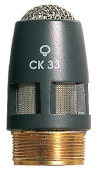 CK33